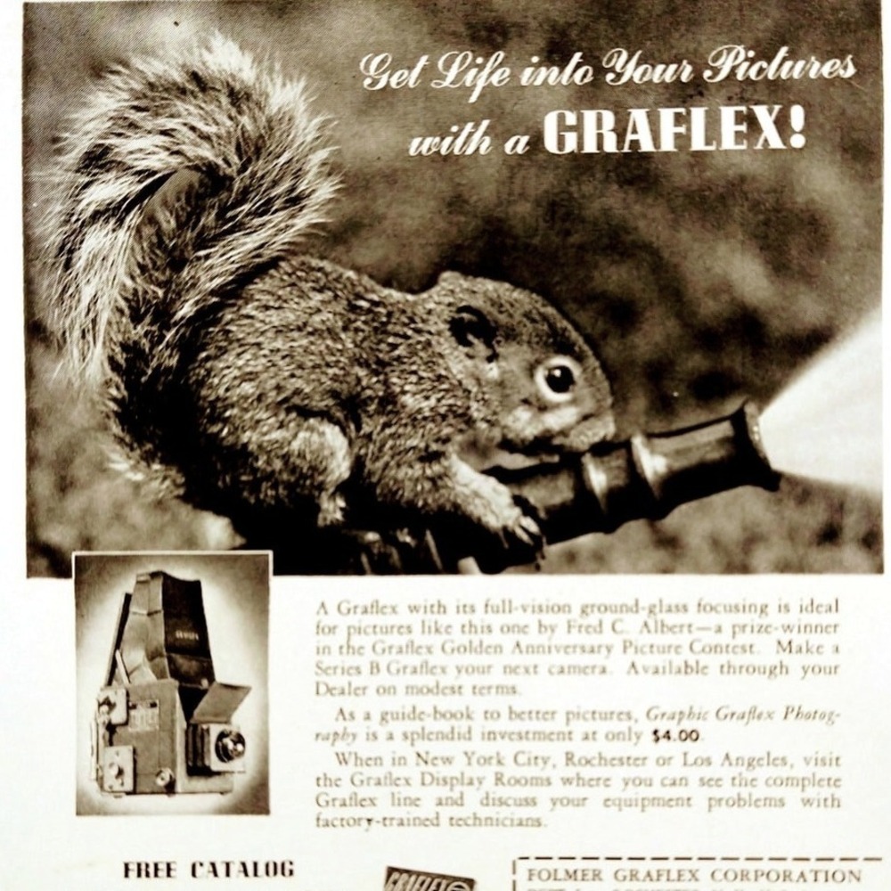 1941 Squirrel on‎ Spraying Hose GRAFLEX Camera Original Vtg PRINT AD Clipping
